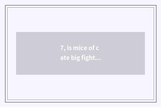 7, is mice of cate big fight amused?