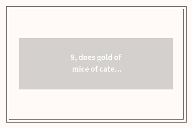 9, does gold of mice of cate big fight block the introduction?