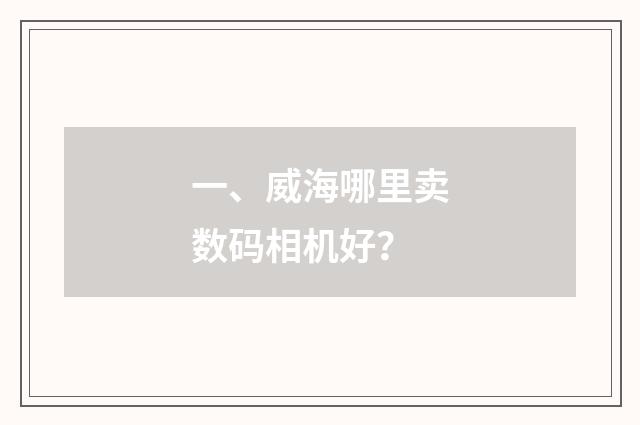 一、威海哪里卖数码相机好?