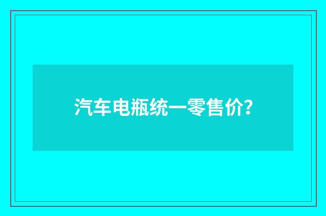 汽车电瓶统一零售价？