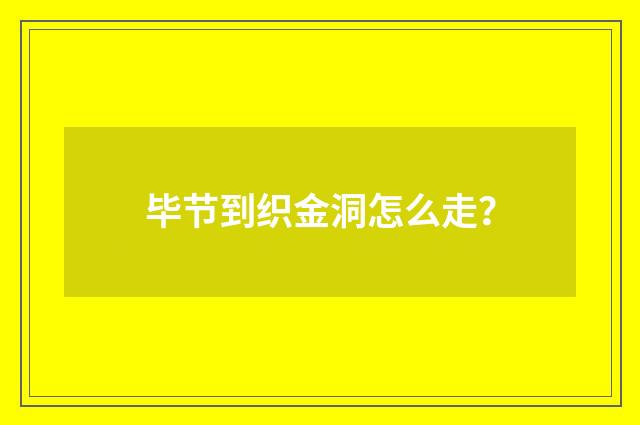 毕节到织金洞怎么走？
