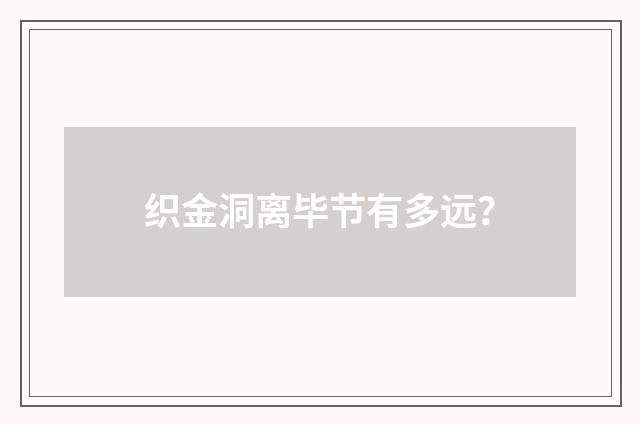 织金洞离毕节有多远？