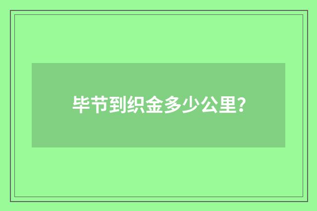 毕节到织金多少公里?