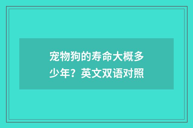 宠物狗的寿命大概多少年？英文双语对照