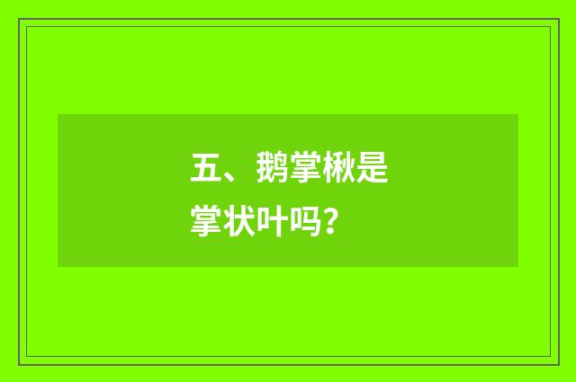 五、鹅掌楸是掌状叶吗？