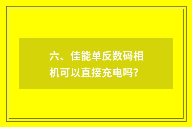 六、佳能单反数码相机可以直接充电吗?