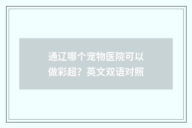 通辽哪个宠物医院可以做彩超?英文双语对照