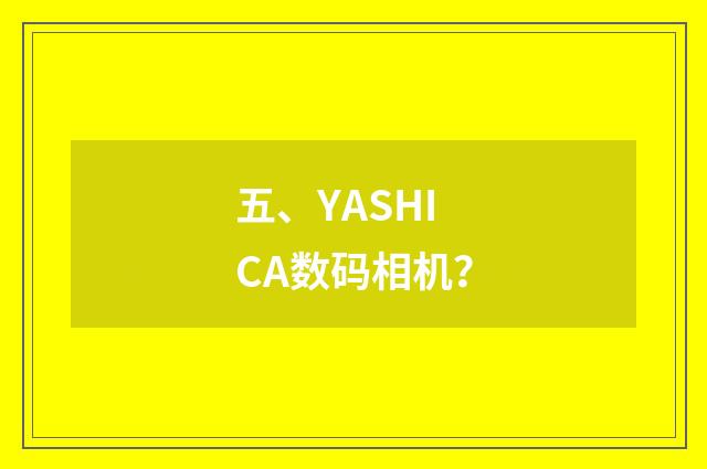 五、YASHICA数码相机?