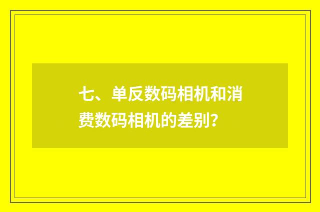 七、单反数码相机和消费数码相机的差别?
