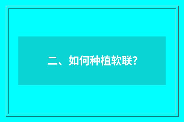 二、如何种植软联？
