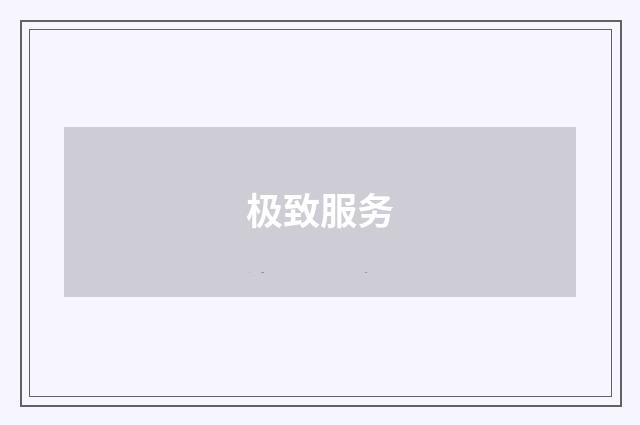 极致服务