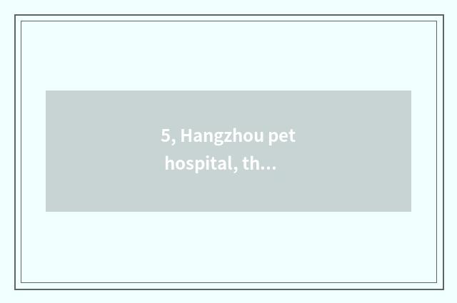 5, Hangzhou pet hospital, the largest pet hospital?