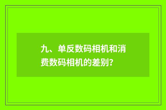九、单反数码相机和消费数码相机的差别?