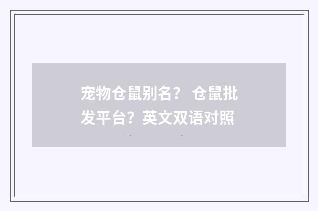 宠物仓鼠别名？ 仓鼠批发平台？英文双语对照