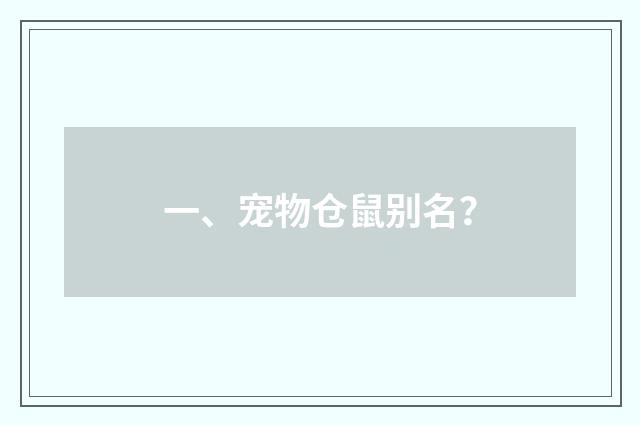 一、宠物仓鼠别名?