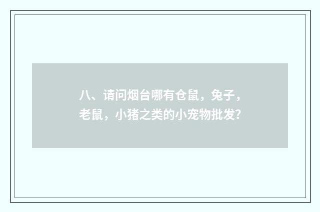 八、请问烟台哪有仓鼠,兔子,老鼠,小猪之类的小宠物批发?