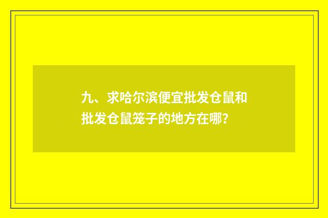 九、求哈尔滨便宜批发仓鼠和批发仓鼠笼子的地方在哪?