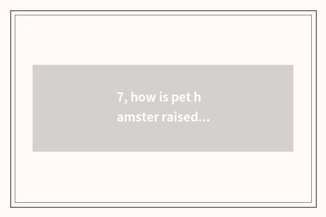 7, how is pet hamster raised?