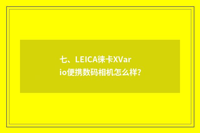 七、LEICA徕卡XVario便携数码相机怎么样?