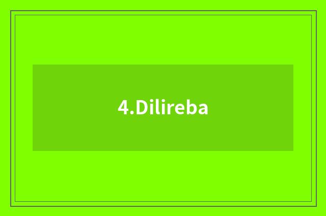 4.Dilireba