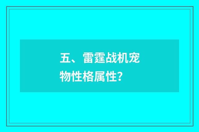 五、雷霆战机宠物性格属性?