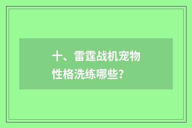 十、雷霆战机宠物性格洗练哪些?