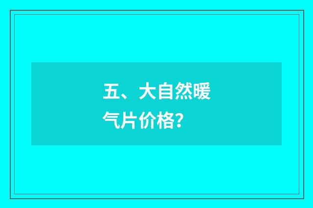 五、大自然暖气片价格？
