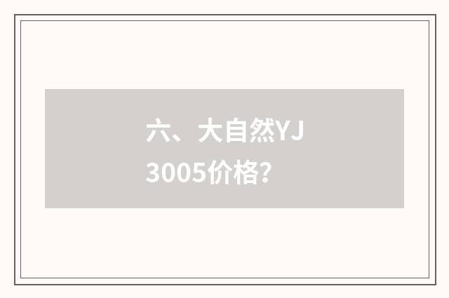 六、大自然YJ3005价格？