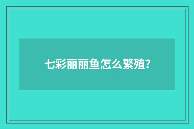 七彩丽丽鱼怎么繁殖？