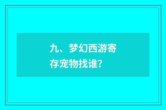九、梦幻西游寄存宠物找谁?