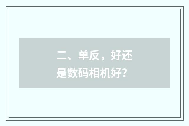 二、单反,好还是数码相机好?