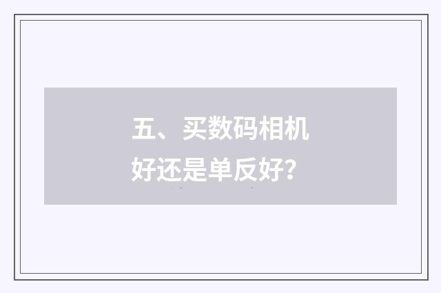 五、买数码相机好还是单反好?