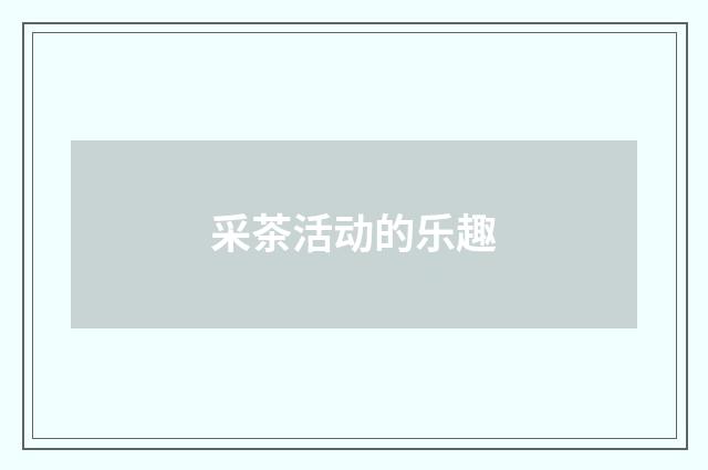 采茶活动的乐趣