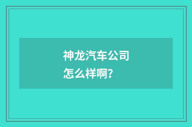 神龙汽车公司怎么样啊?