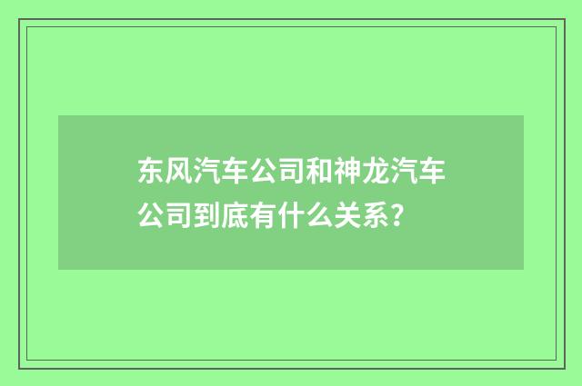 东风汽车公司和神龙汽车公司到底有什么关系？