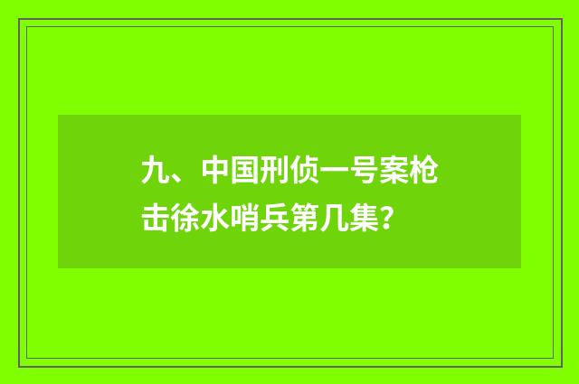 九、中国刑侦一号案枪击徐水哨兵第几集？