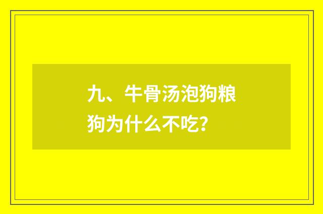 九、牛骨汤泡狗粮狗为什么不吃？