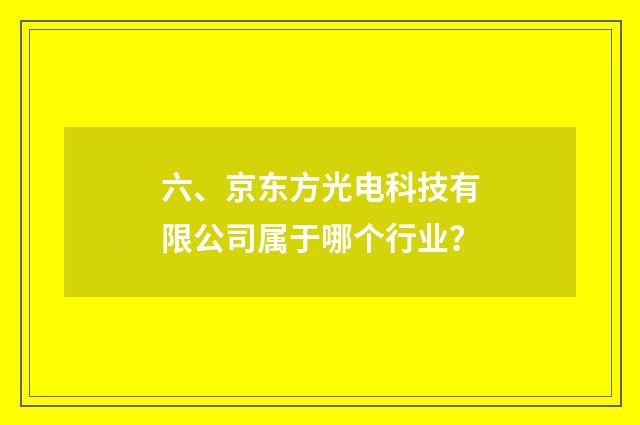 六、京东方光电科技有限公司属于哪个行业？