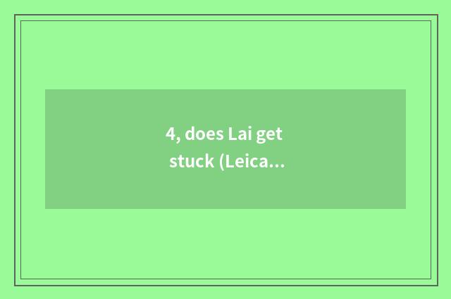 4, does Lai get stuck (Leica) V-LUX (Typ 114) camera of long anxious number how?
