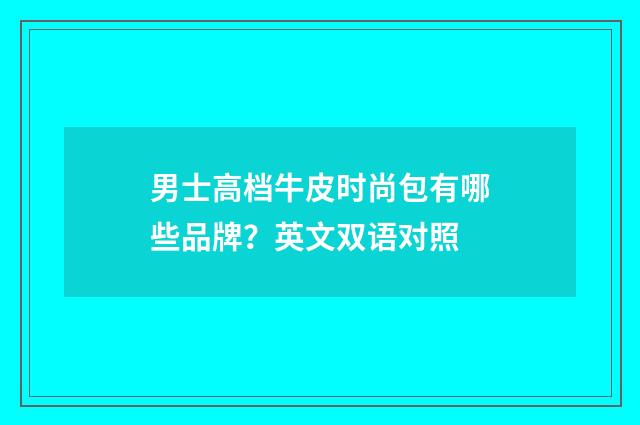 男士高档牛皮时尚包有哪些品牌?英文双语对照