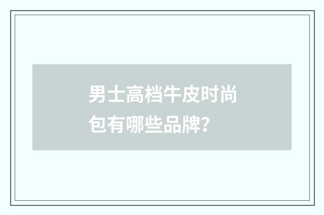 男士高档牛皮时尚包有哪些品牌？