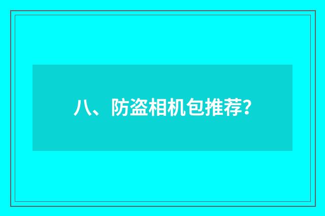 八、防盗相机包推荐？
