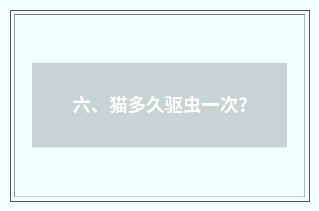 六、猫多久驱虫一次？