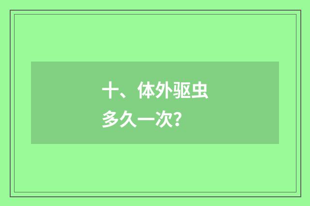 十、体外驱虫多久一次?