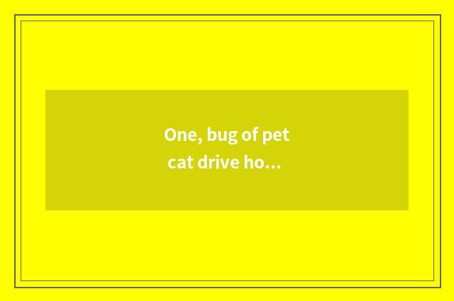 One, bug of pet cat drive how long drive?