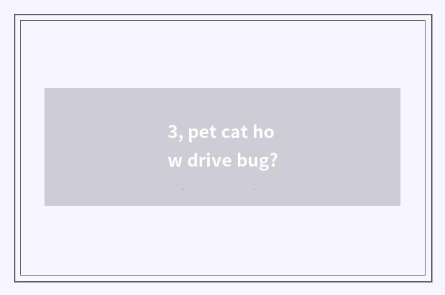 3, pet cat how drive bug?