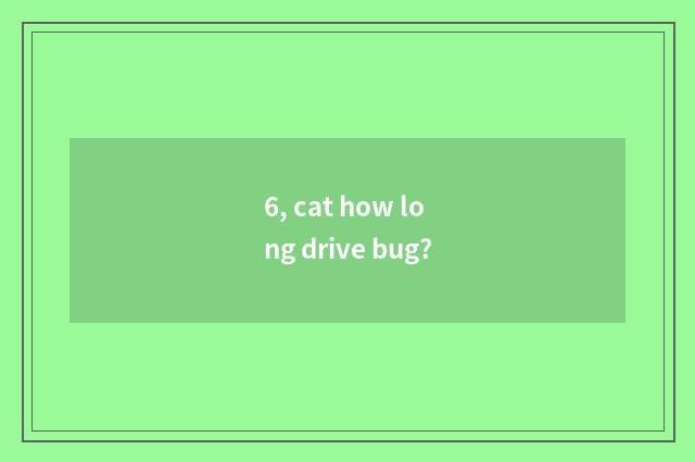 6, cat how long drive bug?