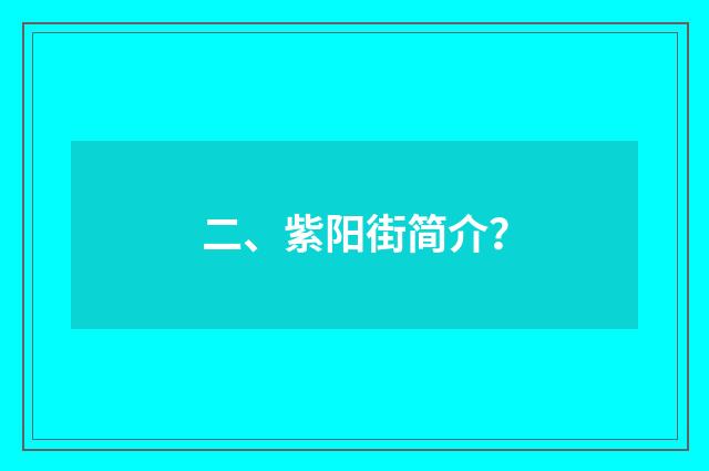 二、紫阳街简介？
