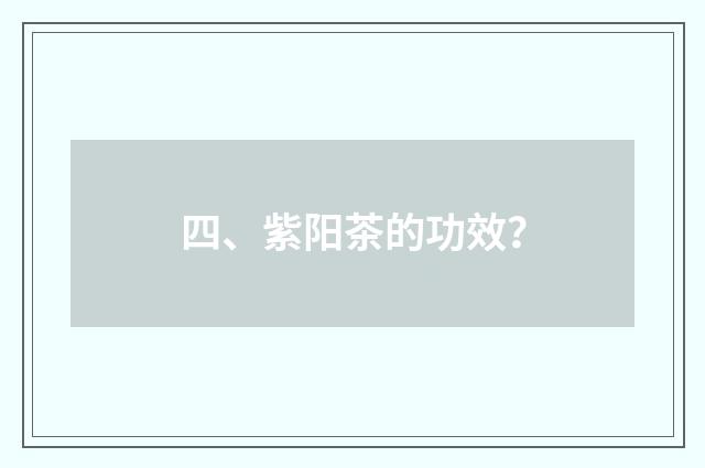 四、紫阳茶的功效？