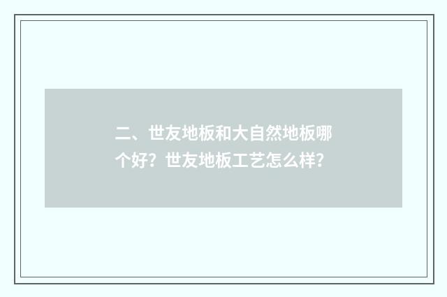 二、世友地板和大自然地板哪个好?世友地板工艺怎么样?